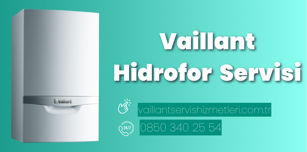 Vaillant Hidrofor Servisi